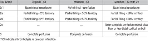 Comparison of the Existing TICI Grading Scale Criteria | Download Table