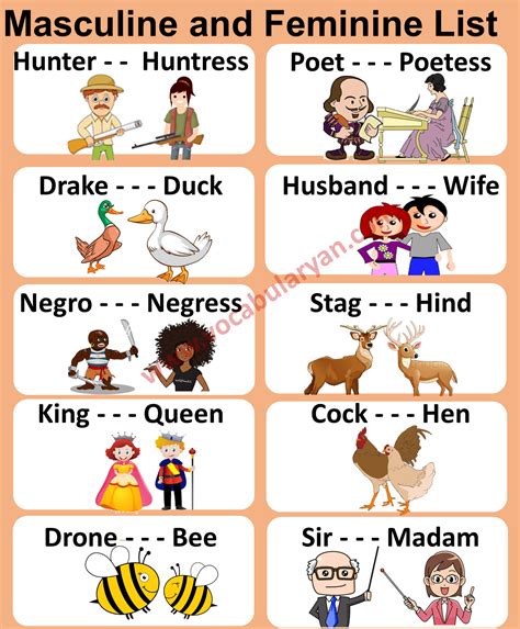 Masculine and Feminine Gender List in English – VocabularyAN