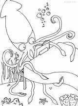 Giant Squid Coloring Pages  Learny Kids sketch template