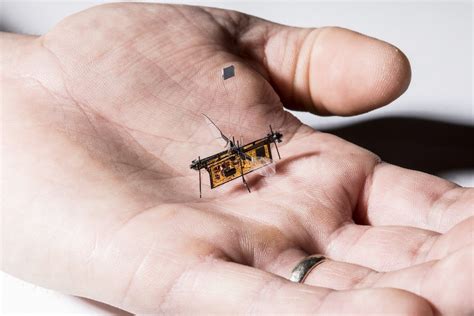 Meet RoboFly, the mechanical insect that could fly climate-saving missions | Videos | Eco ...