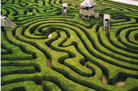 Behaviour in the Maze | Upsurges of the Real: a performance research blog