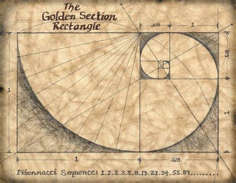 Fibonacci Art, Fibonacci Sequence, Leonardo Fibonacci, Sacred Architecture, Architecture Drawing ...