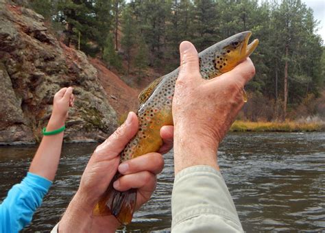 Fly-fishing – Christ's Episcopal Church