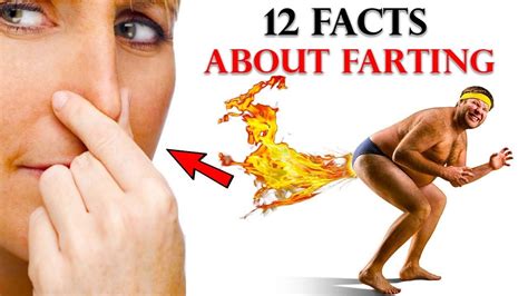 12 Unbelievable Facts about Farting You Probably Didn’t Know, What happens when you fart? - YouTube