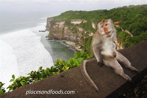 Uluwatu Temple BALI and The Monkey Thieves