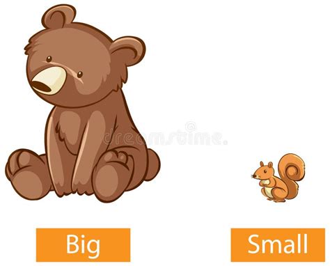 Opposite Adjectives Words With Big And Small Stock Vector ...