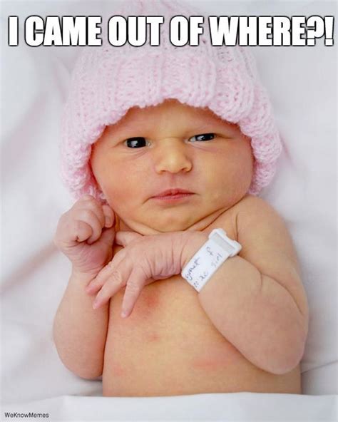 Cute Baby Memes Funny Pictures Of Babies