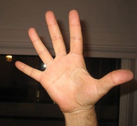 Moutza Gesture is Highly Offensive and Insulting in Greece, Photo: NikoSilver, Wikipedia | The ...