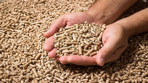 How are Wood Pellets Made?. Wood pellets are an extremely versatile ...