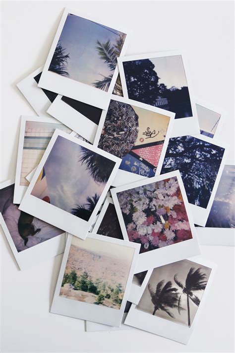 A collection of moments / Shot on Polaroid Onestep 2 | Poloroid pictures, Polaroid pictures ...