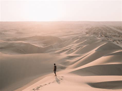 BLOG: Complete Guide to Oregon Sand Dunes - Bay Point Landing