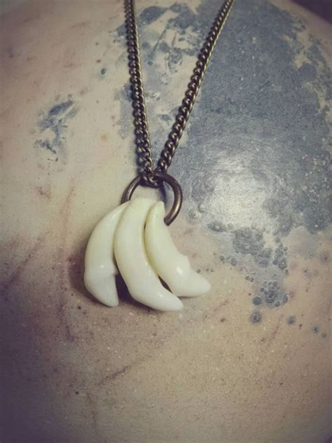 Coyote Teeth Necklace | Etsy | Coyote tooth, Tooth necklace, Necklace