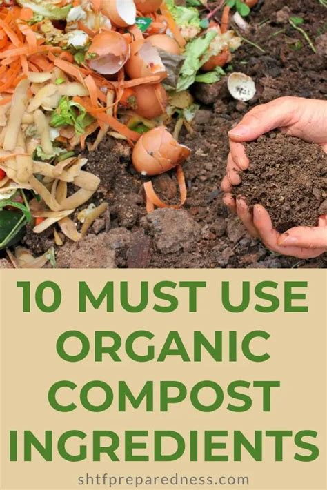 11 Must Use Organic Compost Ingredients - SHTFPreparedness