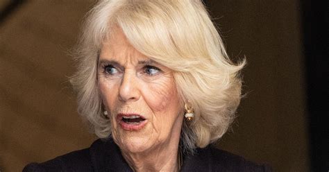 Camilla Orders King Charles III To 'Man Up' Amid Coronation Meltdown