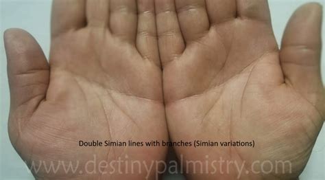 Double Simian or One Simian Line on the Palm - Destiny Palmistry