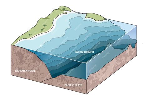 Premium Vector | Illustration of japan trench diagram