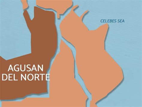 Ex-Agusan del Norte mayor pleads guilty to purchase of overpriced fertilizers │ GMA News Online