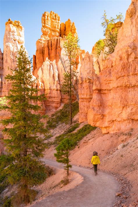 6 JAW-DROPPING Hikes at BRYCE CANYON NATIONAL PARK