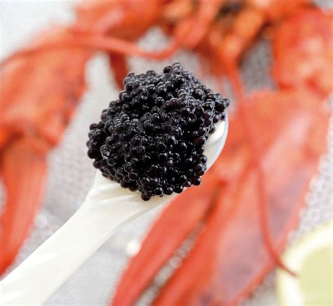 How to Eat Caviar: Tips for a Luxurious Experience | IHOC