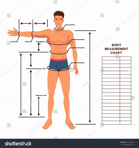 Male Body Measurement Chart Scheme Measurement Stock Vector (Royalty ...