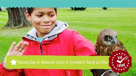 UK Falconry at Dalhousie Castle Reviews & Family Deals