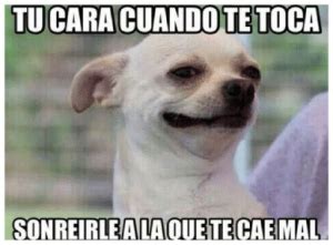 cuando la cara te delata imagenes graciosas Funny Spanish Memes, Spanish Humor, Animal Memes ...