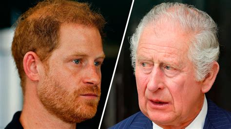 Discussion between Prince Harry and King Charles revealed