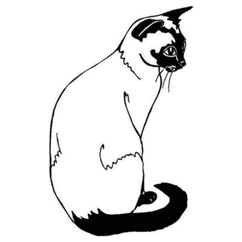 Siamese Cat Line Drawing at PaintingValley.com | Explore collection of ...