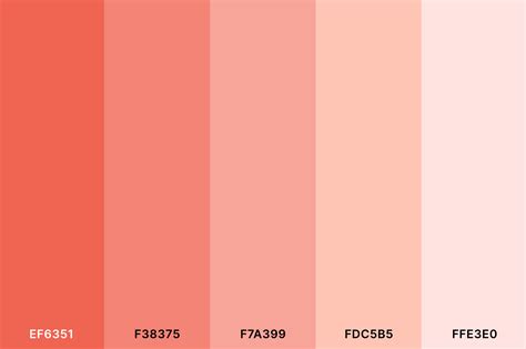 20+ Best Peach Color Palettes for 2024 (Colors That Go With Peach ...