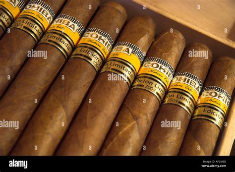 Cuba Havana cigars in a box Cohiba limited edition close up Stock Photo - Alamy