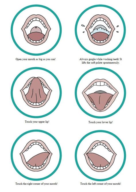 Tongue Exercises | ubicaciondepersonas.cdmx.gob.mx