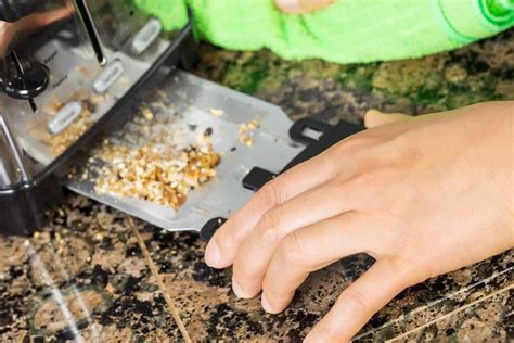 How To Clean A Toaster [6 Steps] - Kitchen Seer