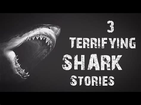 3 TERRIFYING SHARK STORIES | Scary Shark Week creepypastas - YouTube