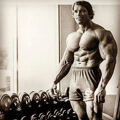 Jesse Grillo on Instagram: “#gyminspiration #arnoldschwarzenegger” | Arnold schwarzenegger ...