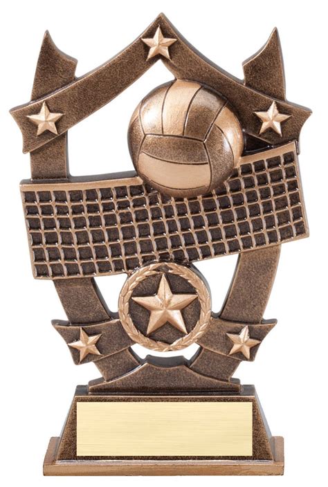 Volleyball 3D Gold Sports Stars Award / Volleyball SSR17 by - Etsy