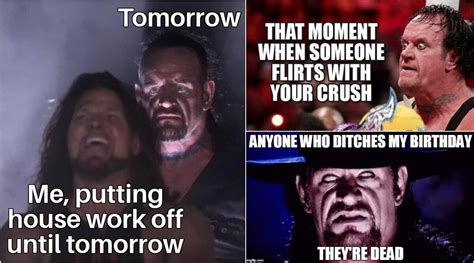 The Undertaker Funny Memes and Best Fight Videos To Remember WWE Legend After He Announces ...