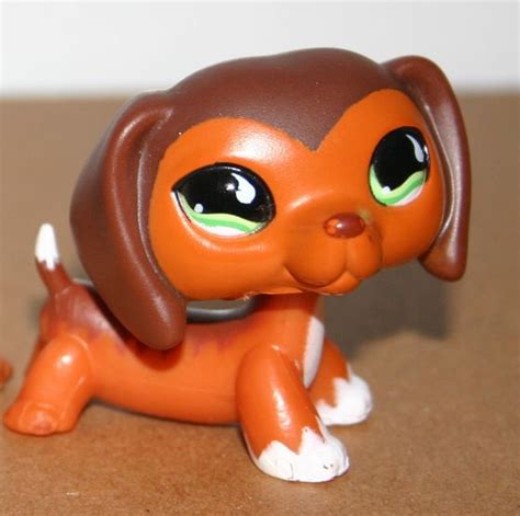 All About Littlest Pet Shop - Littlest Pet Shop - Fanpop