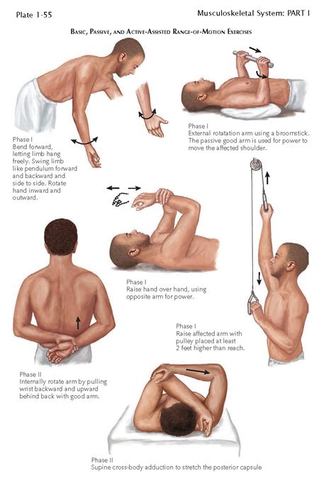 EXERCISES FOR RANGE OF MOTION AND STRENGTHENING OF SHOULDER - pediagenosis