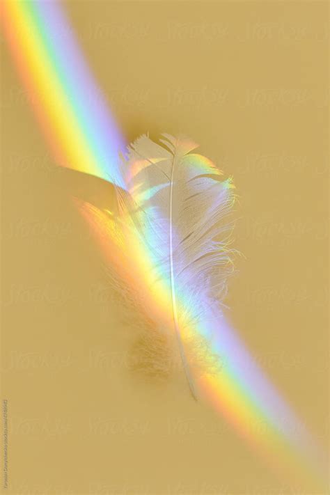 Prism rainbow Images - Search Images on Everypixel