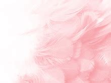 Pink Fur Background Free Stock Photo - Public Domain Pictures