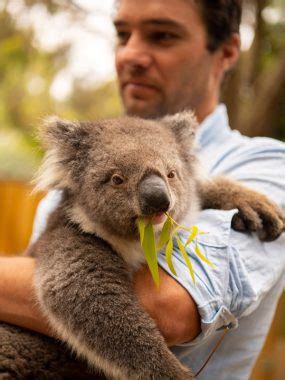 A Kangaroo Island Wildlife Park Guide - Australian Traveller