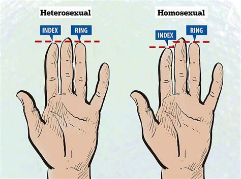Length Of Your Ring And Index Fingers 'Could Reveal Your Sexuality' - Trendzified