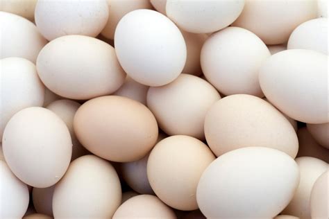 White Poultry Eggs at Rs 5/20' container in Hyderabad | ID: 16389680397