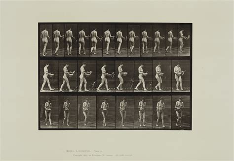 EADWEARD MUYBRIDGE (1830-1904) , Animal Locomotion, 1887 | Christie's