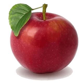 AVDC Petit Mandarinier: Une grosse pomme