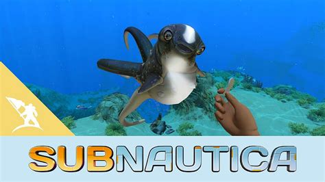 Subnautica: Cuddlefish Egg Locations - Guide | GamesCrack.org