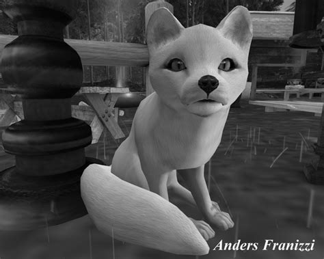 Second Life Marketplace - White fox Black & White