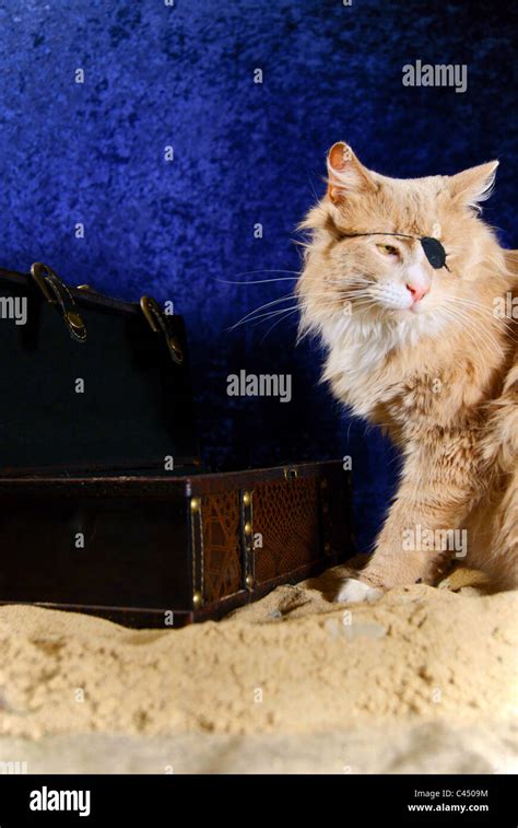 Buried Treasure Stock Photo: 36989392 - Alamy