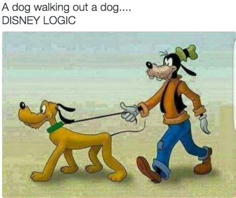 Goofy’s a dog? #funnyjokes | Disney memes, Disney funny, Funny disney memes