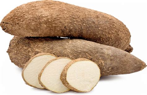 6 Interesting Yam Varieties - Agriculture Nigeria